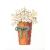 E06b (황)0408-daisies-marguerites(패키지)