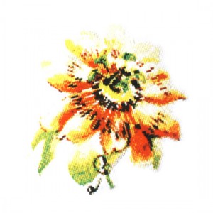 E02d [완성수]수채화꽃그리기2-노랑꽃(좋은날)