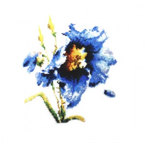 E02d [완성수]수채화꽃그리기2-파랑꽃(좋은날)
