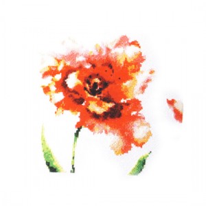 E02d [완성수]수채화꽃그리기1-빨강꽃(좋은날)