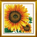 A13 Sunflower(14ct 패키지)-50308